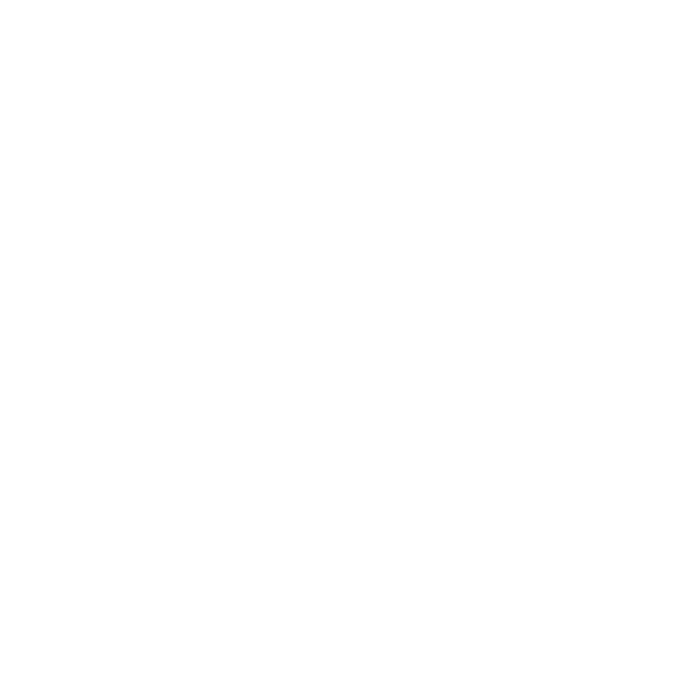 dama-bier-1-1-980x980